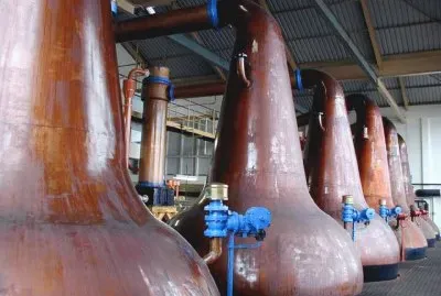 FaraÃ³n jigsaw puzzle