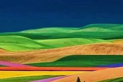 Southern Fields jigsaw puzzle