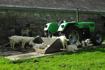 Fählenalp Ostschweiz