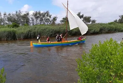 פאזל של Pinasse à voile Ville Le Teich