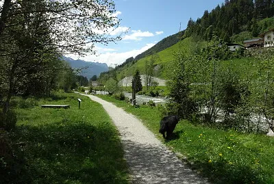 Zillertal Österreich jigsaw puzzle