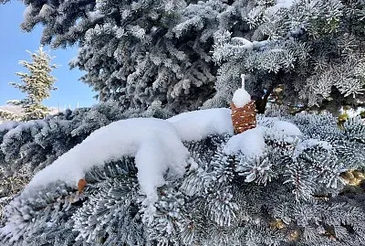 פאזל של Winter