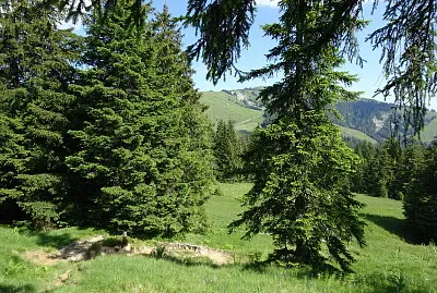 פאזל של Zwischen Schwägalp und Kronberg