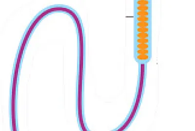 los estudiantes armaran este rompezaba jigsaw puzzle