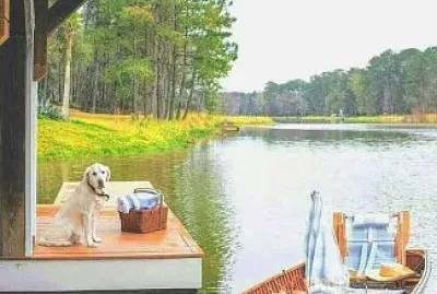 perro