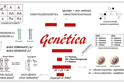 conceitos genetica