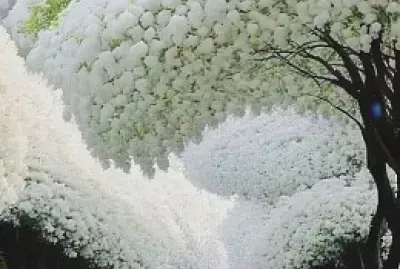 naturaleza