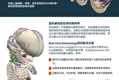 Primal_攤位遊戲_02