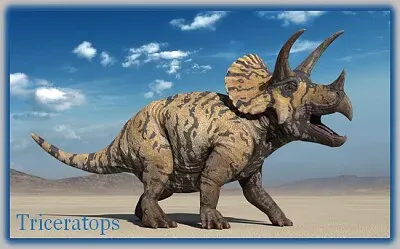 Triceratops jigsaw puzzle