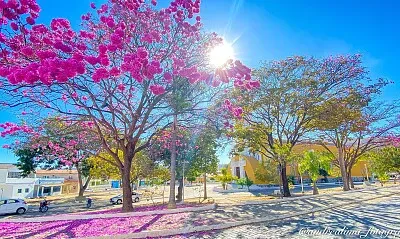 imagem jigsaw puzzle