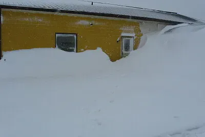 winter