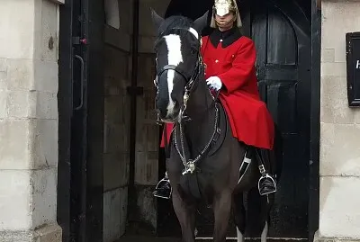 London Guardsman