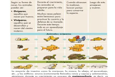 TODOS TENEMOS UN CICLO