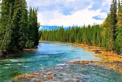 naturaleza jigsaw puzzle