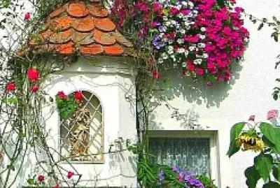 flores
