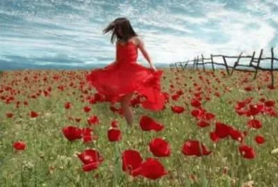 muita foto jigsaw puzzle