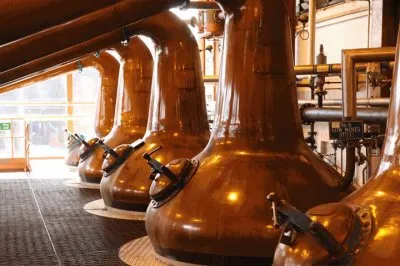 FaraÃ³n jigsaw puzzle