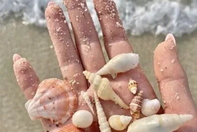 פאזל של Shells
