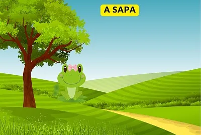 a sapa