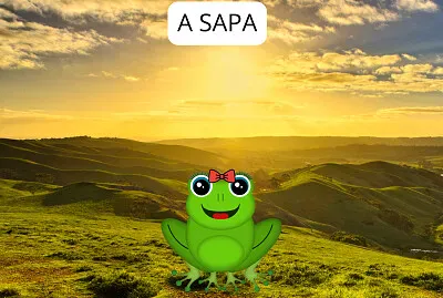 A SAPA
