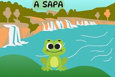A SAPA