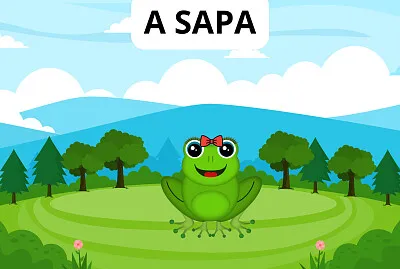 A SAPA