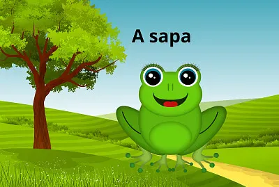 A sapa