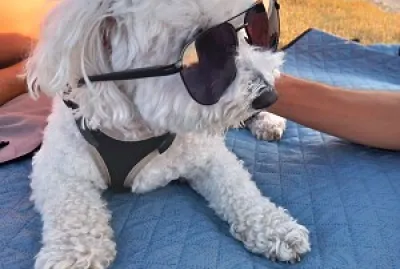 Melba à la plage