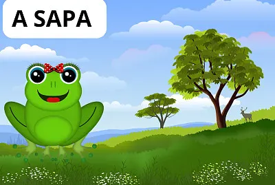 פאזל של A SAPA