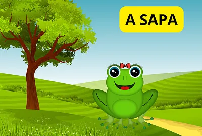 A SAPA
