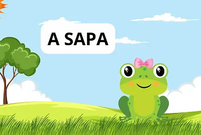 A SAPA