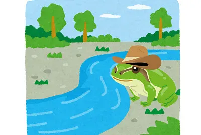 O sapo jigsaw puzzle