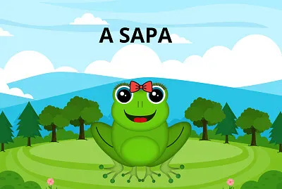 A SAPA