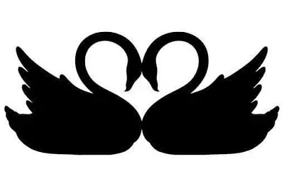 פאזל של Súper junior