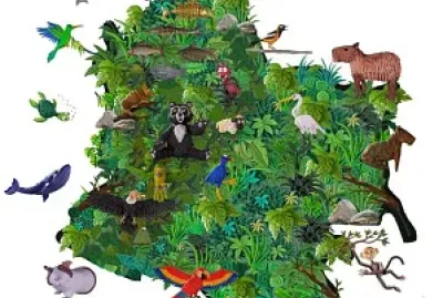 biodiversidad colombia