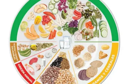 plato del bien comer