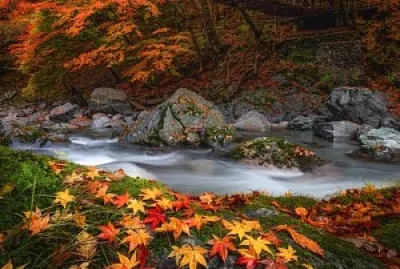 Jardín japonés