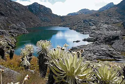 Páramo de Sumapaz