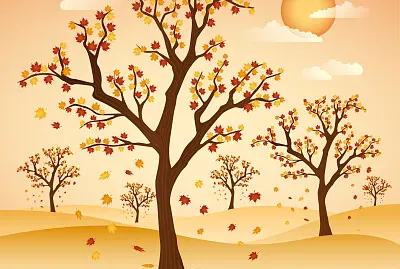 رباب ابراهيم