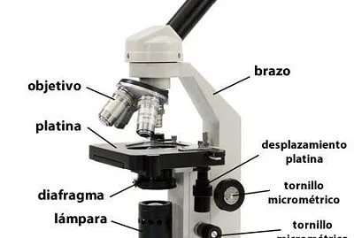 microscopio jigsaw puzzle