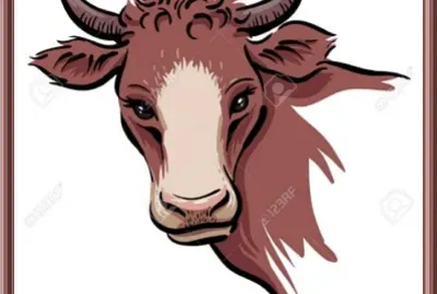Tête de vache