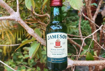 Jameson