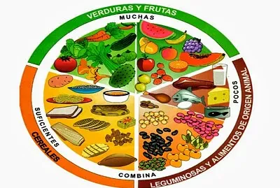 plato del buen comer jigsaw puzzle