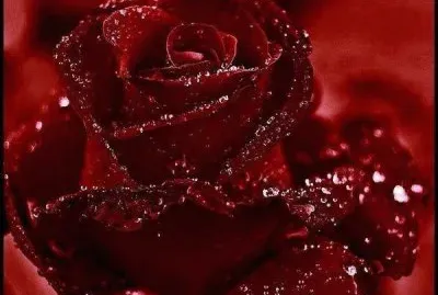 פאזל של ImÃ¡genes