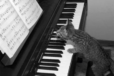 ImÃ¡genes jigsaw puzzle