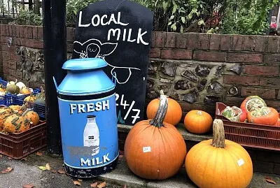 פאזל של Country store- autumn pumpkins