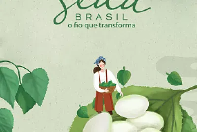 seda brasil