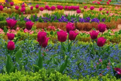 ImÃ¡genes jigsaw puzzle