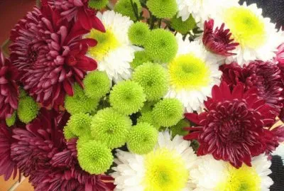 ImÃ¡genes jigsaw puzzle