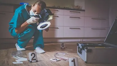 פאזל של Analista